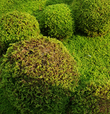 Thumbnail of post image 106